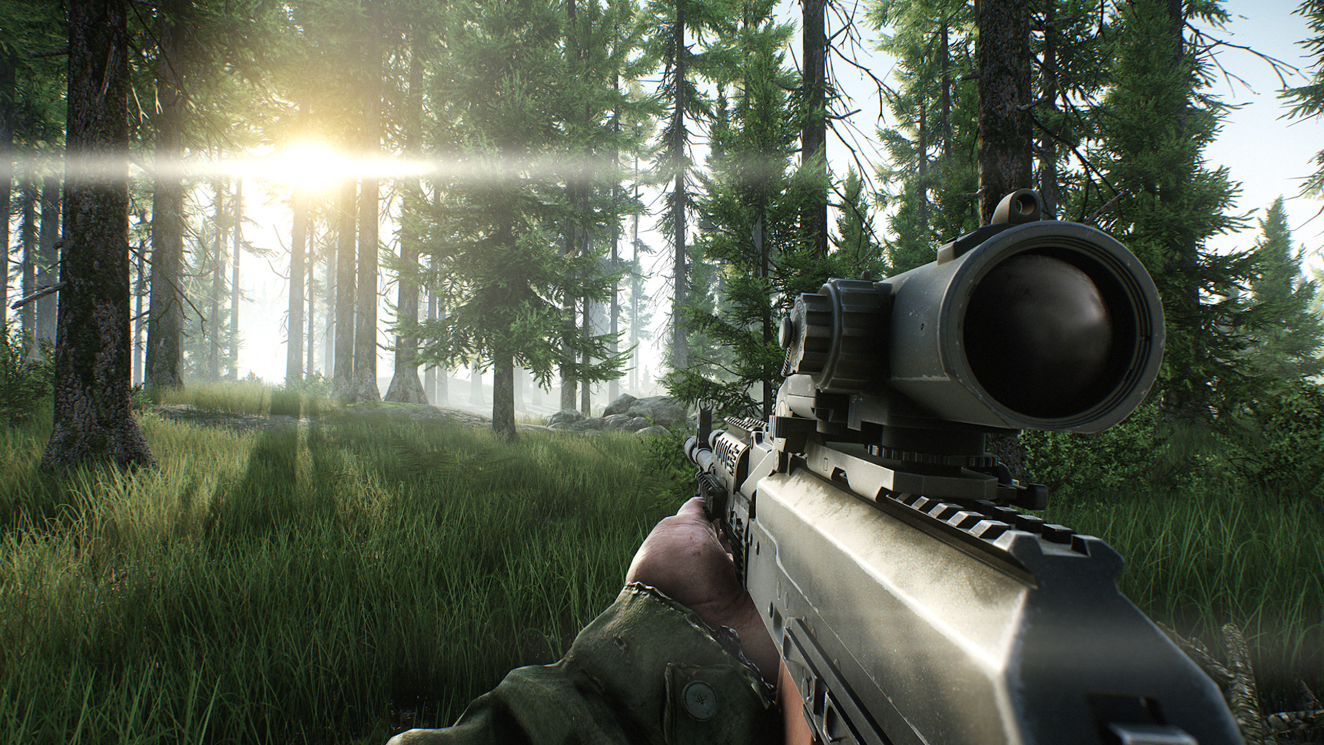 Escape from Tarkov guide: A player looking at the sun on Woods while holding a scoped assault rifle.