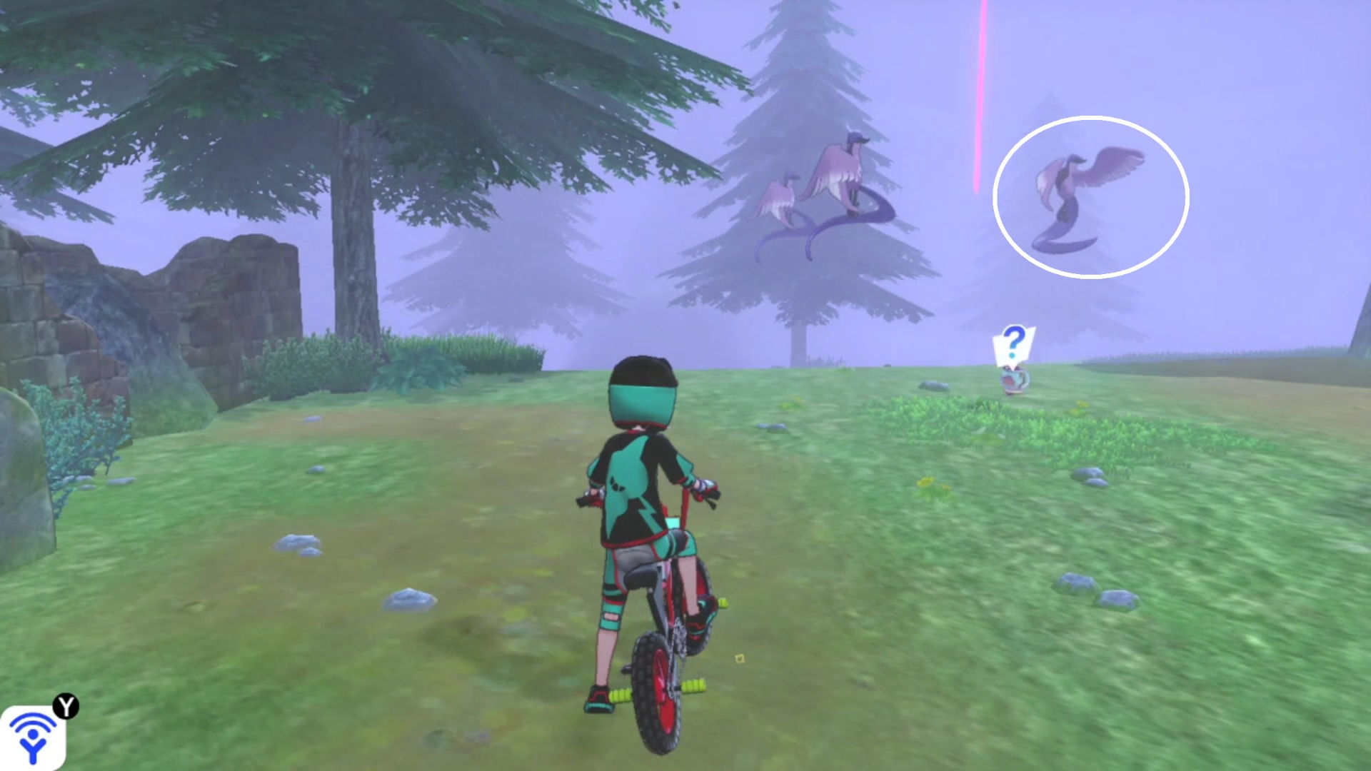 Pokémon Sword and Shield Galarian Articunos: Trainer on a bike with three Galarian Articunos in the field ahead. The real one has been circled in white.