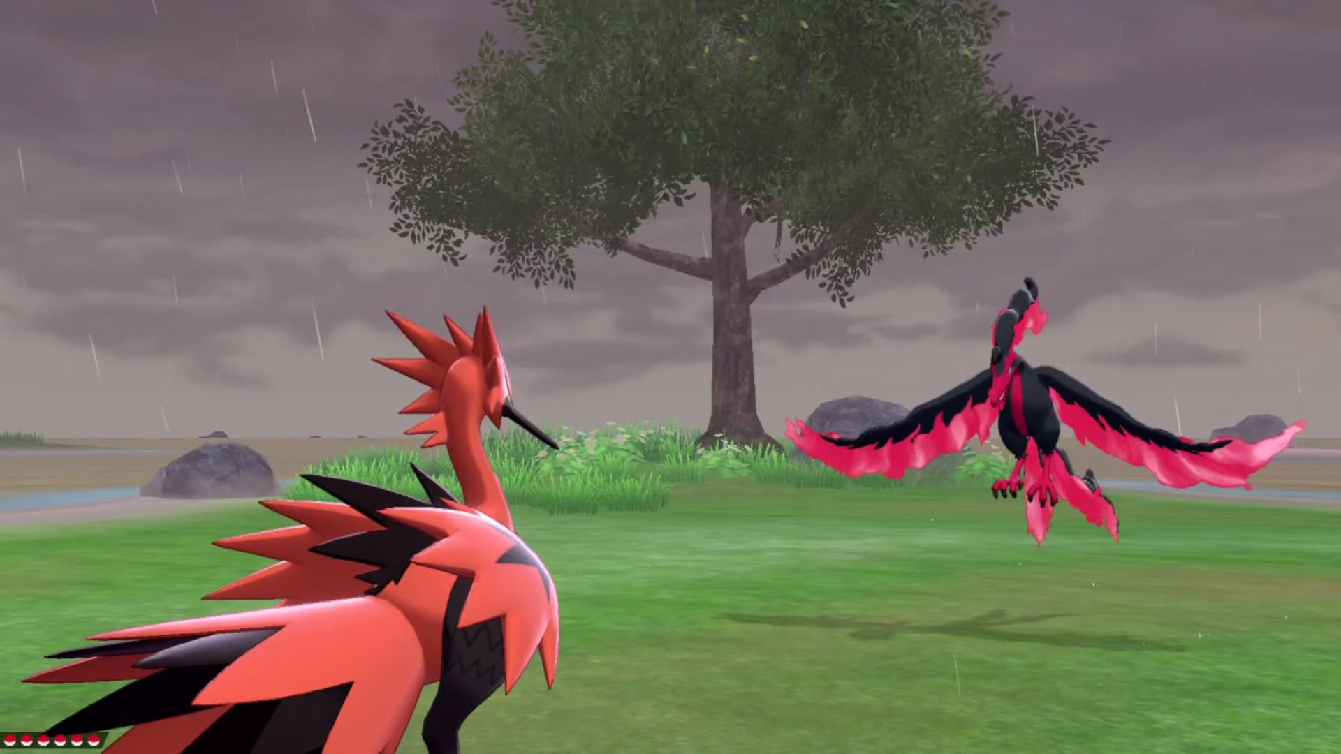 Pokémon Sword and Shield Galarian Moltres: Encounter with Galarian Moltres in a field. Trainer is using Galarian Zapdos.