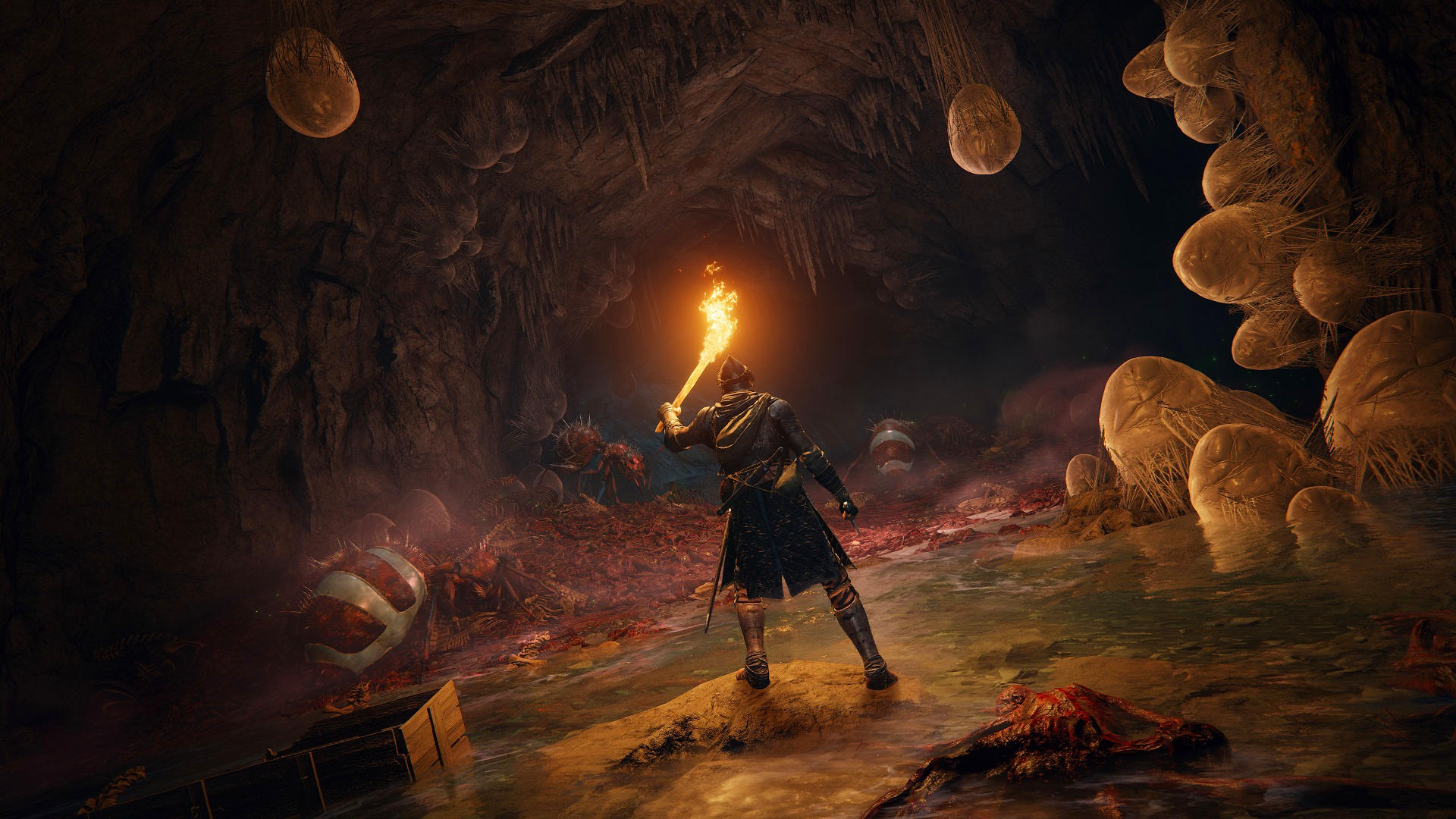 Elden Ring release date: A knight holds up a flaming brand to illuminate a fleshy cavern.