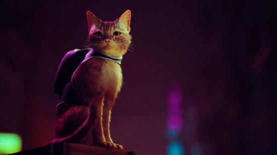 A cat with a backpack sits on a pillar looking on as the neon light casts a shadow