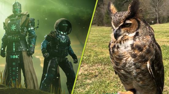 Destiny 2 Vow of the Disciple: A split image of two Destin 2 guardians with a green fog behind them and an image of an owl