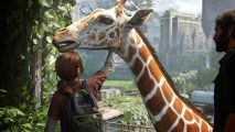 The Last of Us remake giraffe haptics: Ellie pets the giraffe