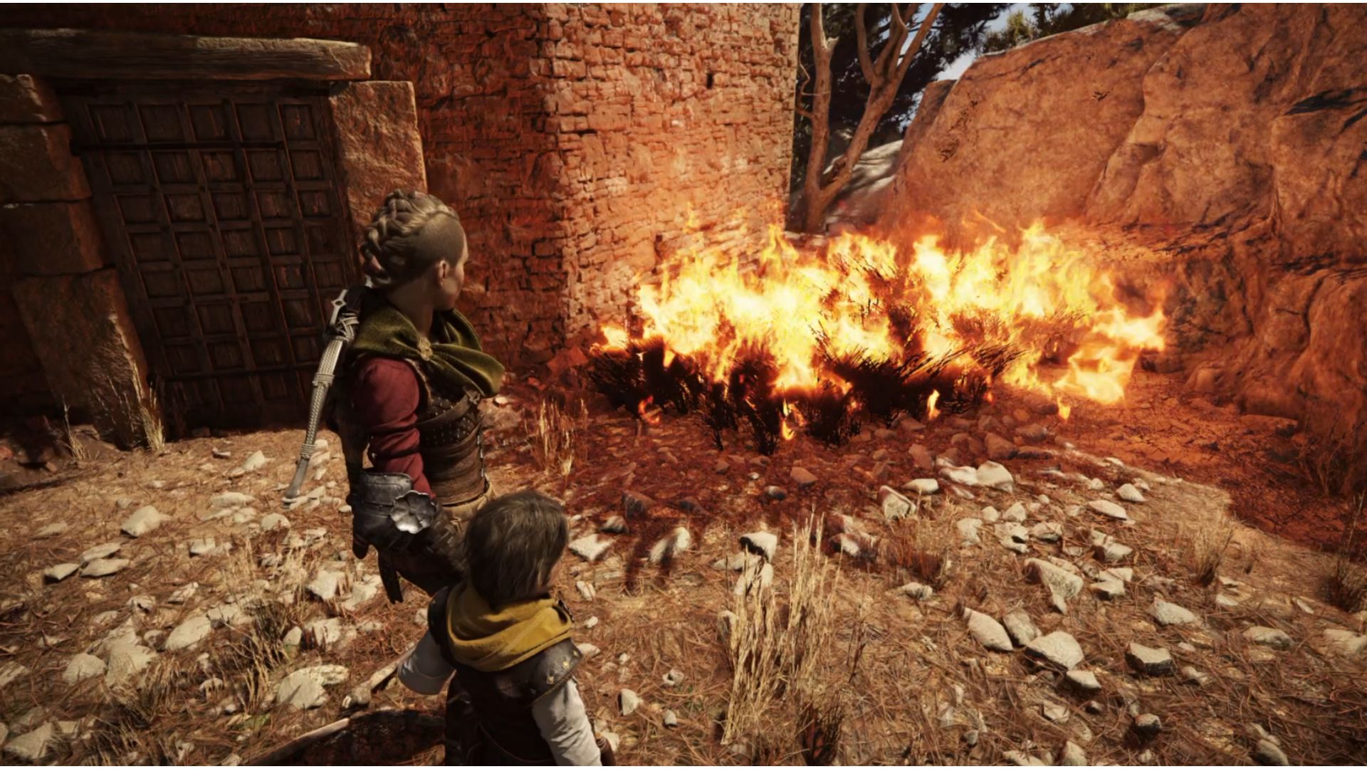 A Plague Tale Requiem Collectibles: Amicia can be seen burning the grass