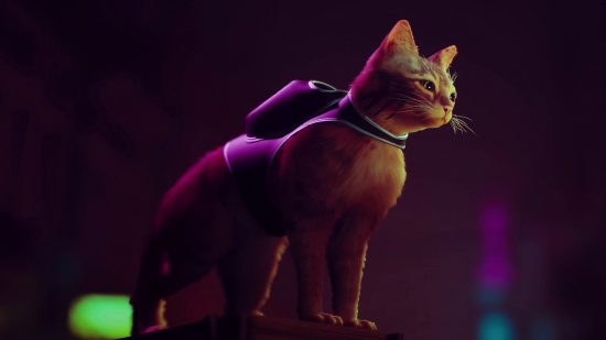 Best PS5 games stray: a ginger cat with a backpack looks at a neon-bathed city