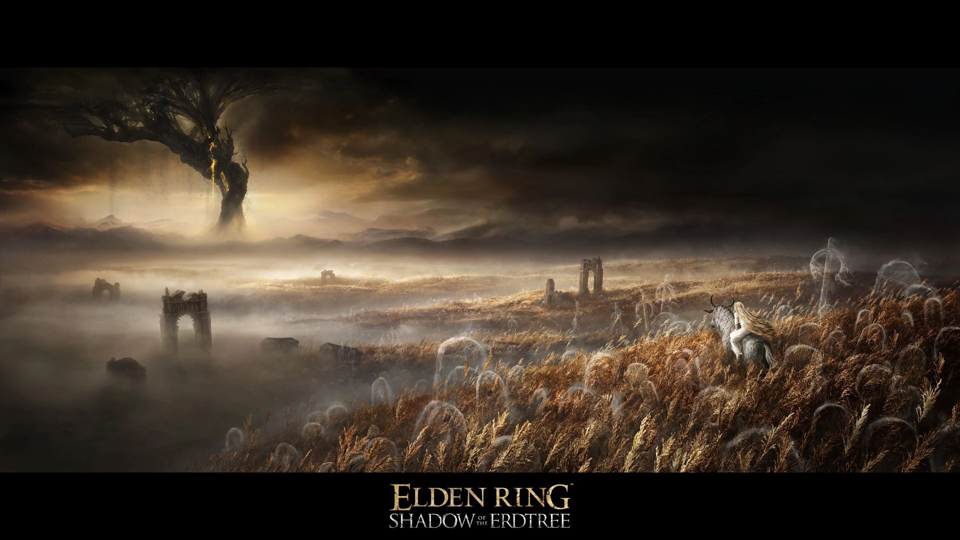 Elden Ring DLC ​​릴리스 날짜 : 필드를 볼 수 있습니다