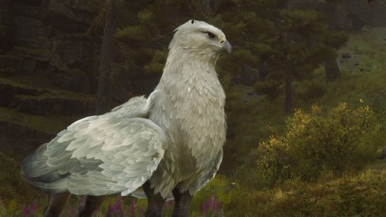 Hogwarts Legacy Beasts: A animal can be seen
