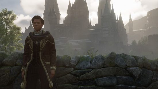 Hogwarts Legacy Photo Mode: A player can be seen in front of the castle