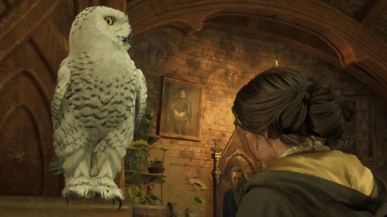 Hogwarts Legacy Save Game: A student and an owl can be seen