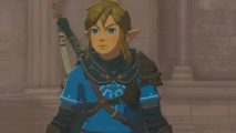 Tears of the Kingdom Zelda timeline: Link wearing blue tunic with a black hood and sleeves