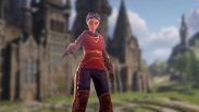Harry Potter Quidditch Champions release date speculation, beta