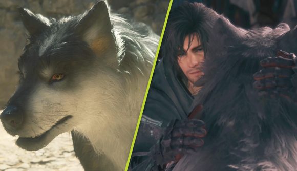 Final Fantasy 16 new update pet Torgal: Torgal the grey and white frost wolf up close, next to him being cuddled by Clive