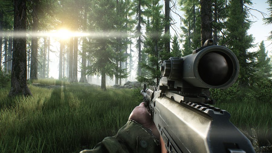 Um jogador de Escape From Tarkov olhando para o sol na floresta