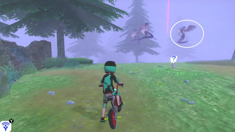 Trainer on a bike with three Galarian Articunos in the field ahead. The real one has been circled in white.