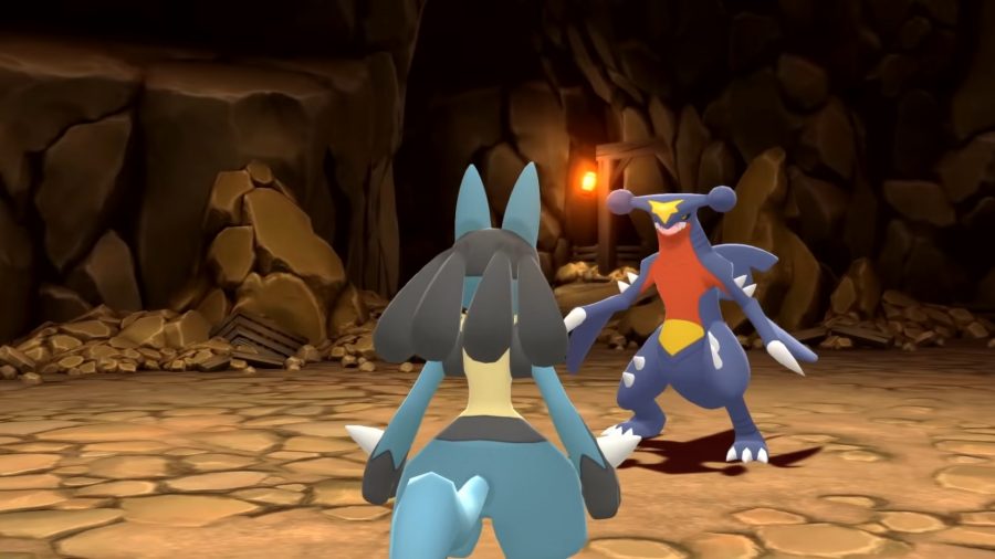 A Garchomp prepares to fight Lucario in a cave