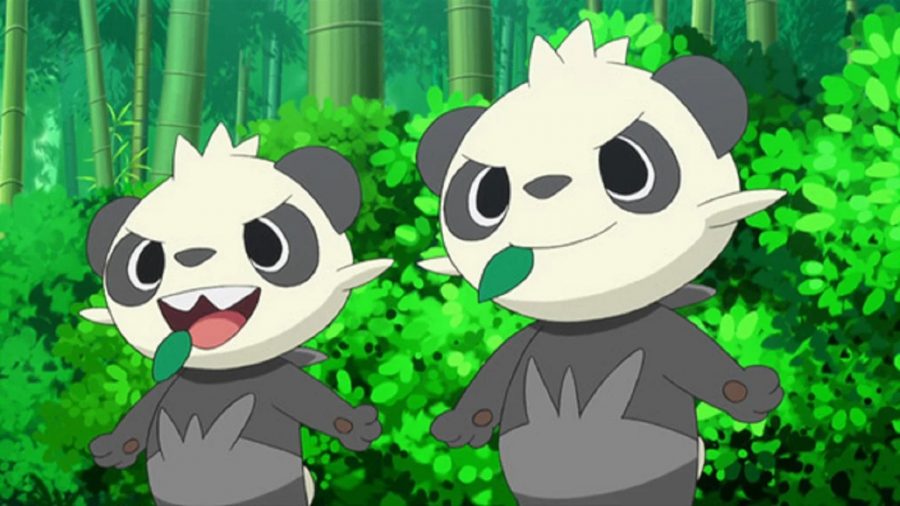 Two Pancham emerge from the forest