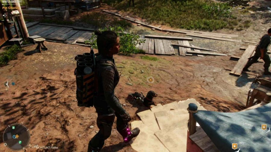 Far Cry 6: Chorizo location: Chorizo is sitting by his kennel in Montero Farm as Dani walks by him.