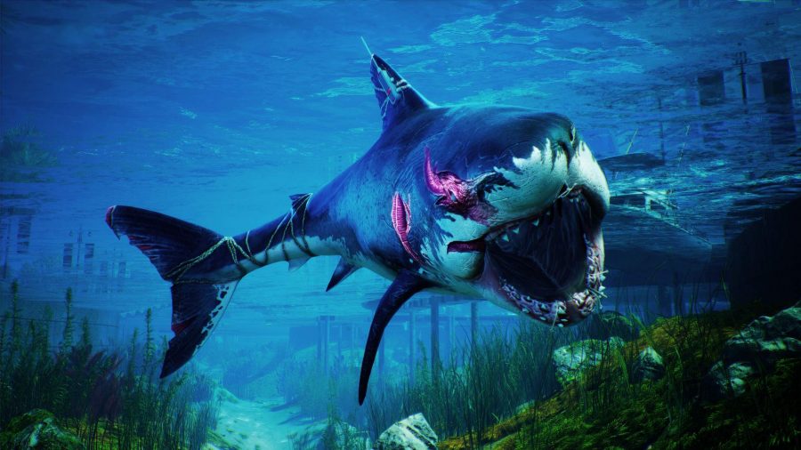 PS Plus Games 2021 Ranking: The titular maneater shark can be seen in the ocean with cuts and scars on it.
