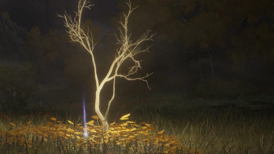 Elden Ring Golden Seed Locations: The minor Erd Tree can be seen with a Golden Seed by it.