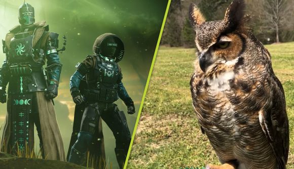 Destiny 2 Vow of the Disciple: A split image of two Destin 2 guardians with a green fog behind them and an image of an owl