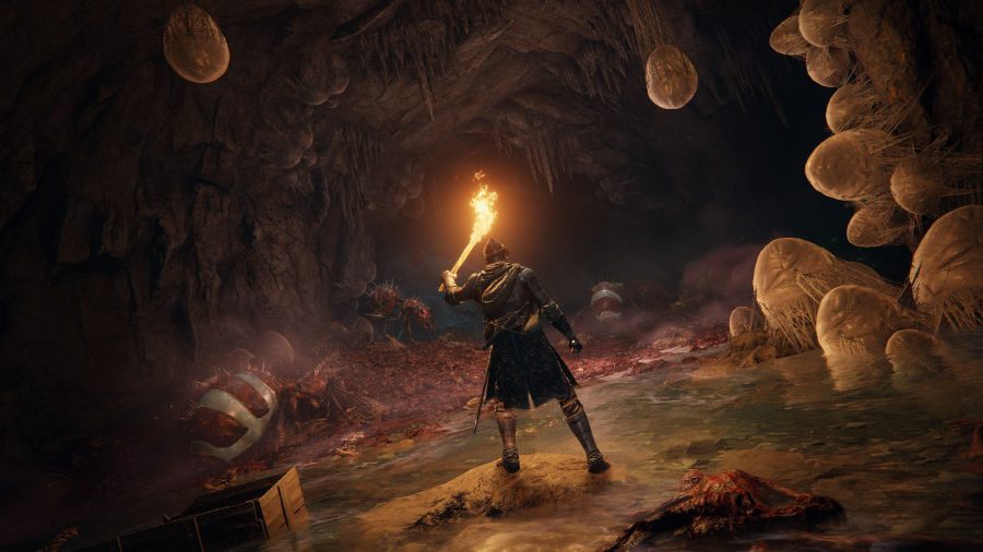 Elden Ring Combat Bloodborne: A player can be seen in a dungeon