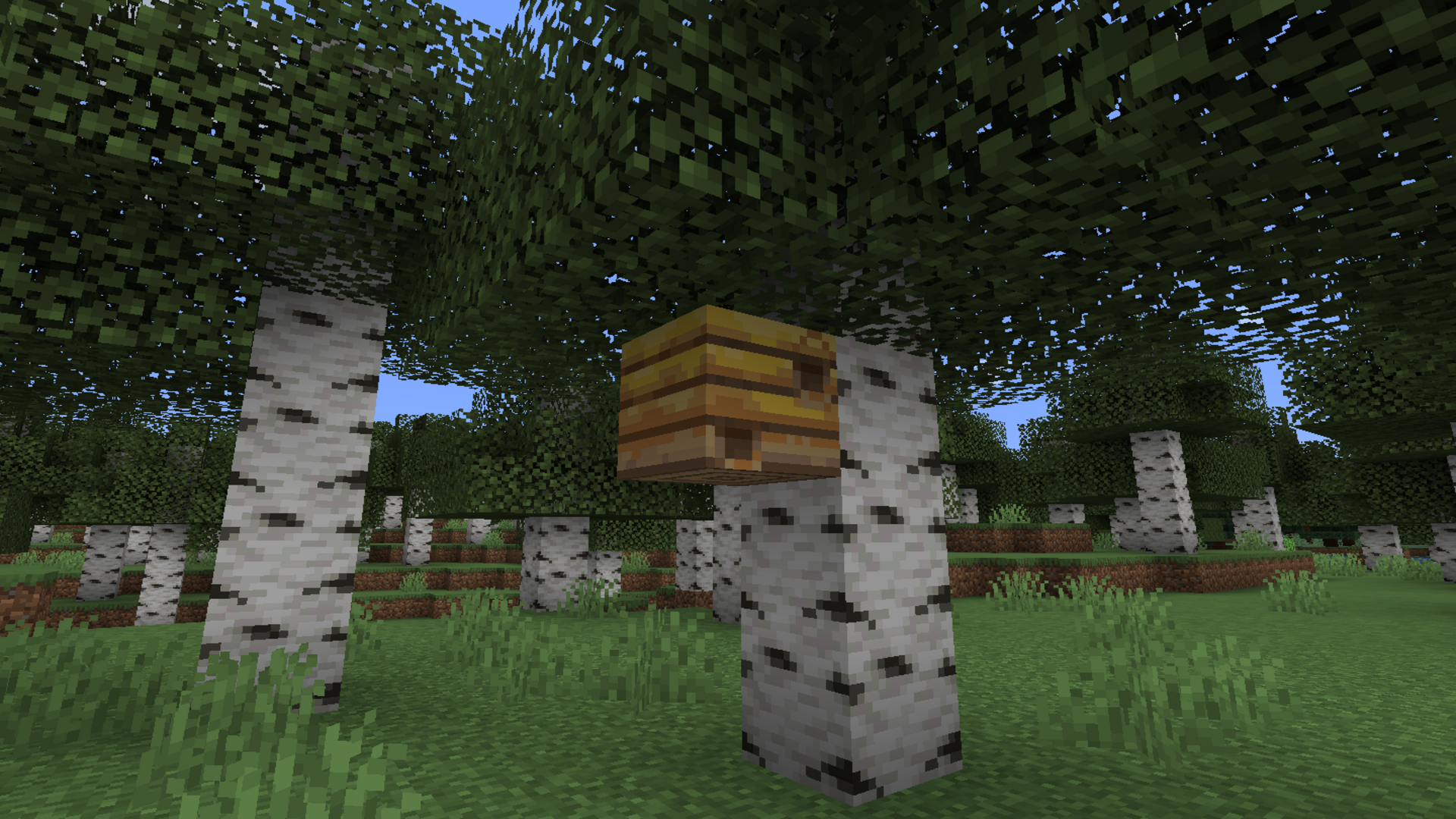 How to get honeycomb in Minecraft: honeycomb on a tree