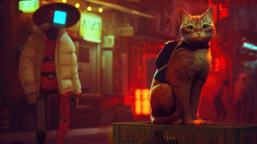 PS Plus Extra Premium July 2022 Games: Stray's cat can be seen, with a robot behind them.