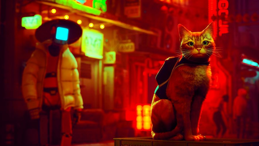 stray preview cat sits on a crate with robot behind it in neon lit city