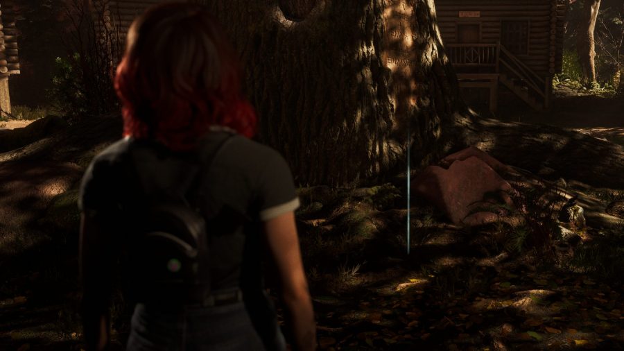 The Quarry Evidence Locations: Abigail can be seen looking at the large tree at the camp cabins.