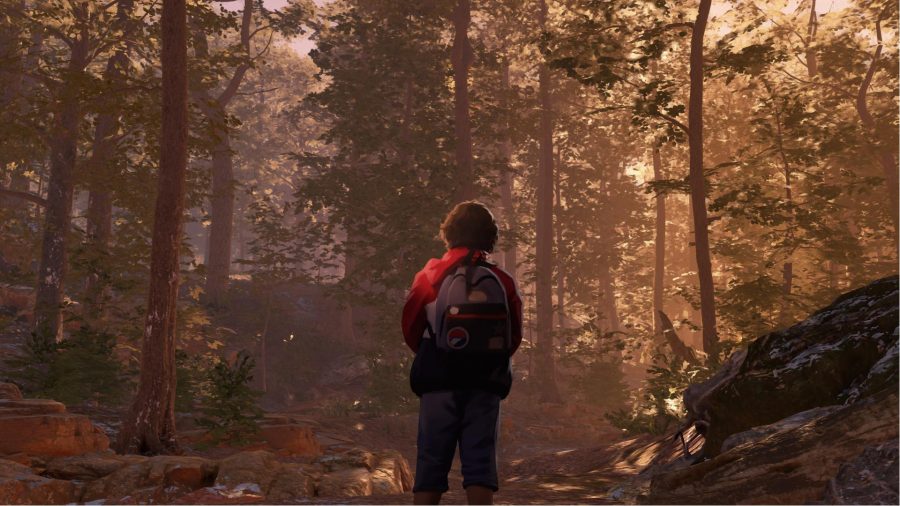 As Dusk Falls Chapter List: a child can be seen looking at a forest.