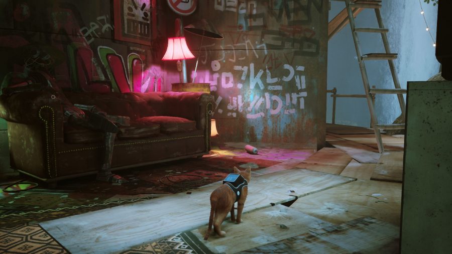 Stray B-12 Memories Locations: The cat can be seen looking at a wall.