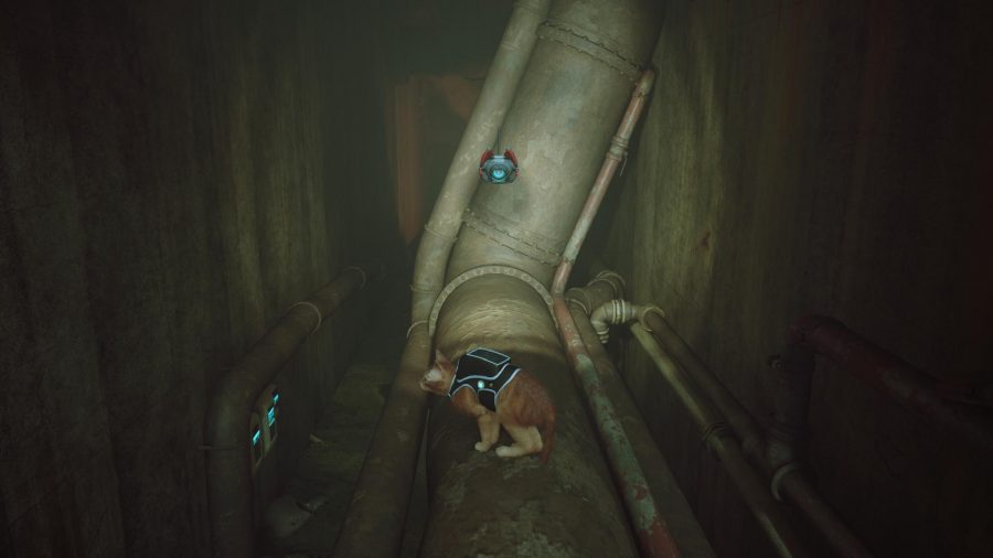 Stray Memories Locations: The cat can be seen on a pipe