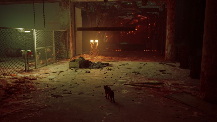 Stray B-12 Memories Locations: The cat can be seen looking towards the direction of the memory.
