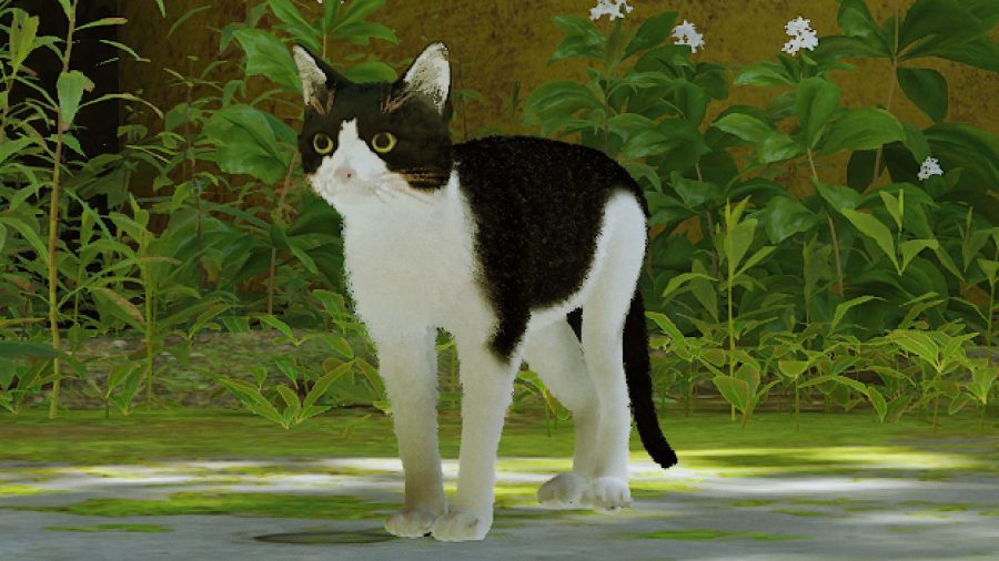 Stray Mods Best: можно увидеть одну из пользовательских скинов кошек, в частности, черно-белую кошку Маро из WhenBearsReigns.