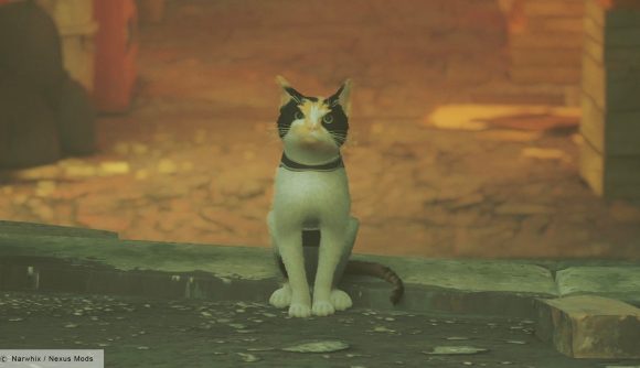 Stray people modding their own cats: a Calico cat as it appears in-game