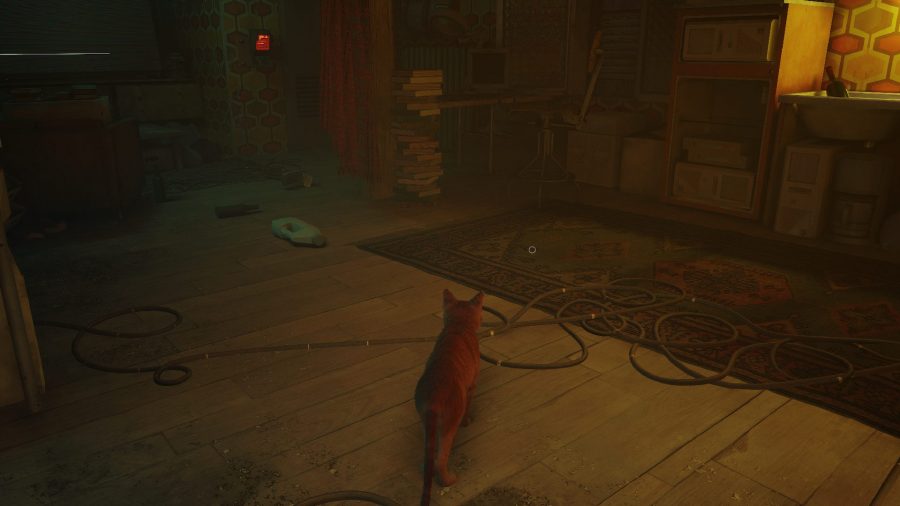 Stray Scratch Locations: The cat can be seen looking at the carpet in the flat