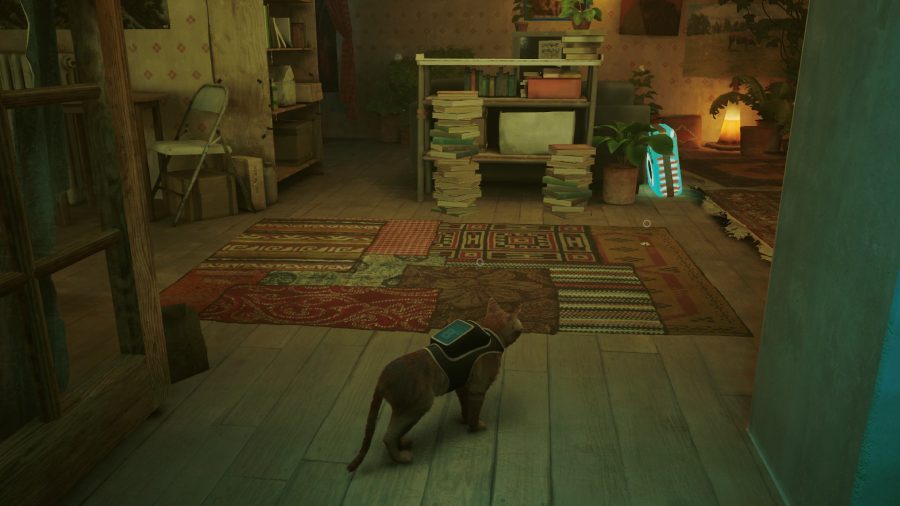 Stray Scratching Locations: The cat can be seen in front of a carpet.