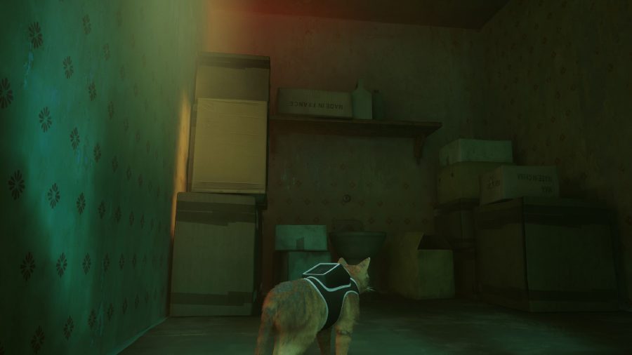 Stray Sheet Music Locations: The cat can be seen looking at the shelf with the music.