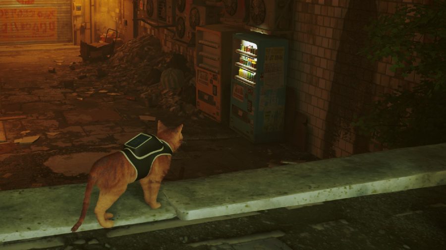 Stray Vending Machine Locations: The cat can be seen looking at the vending machine.